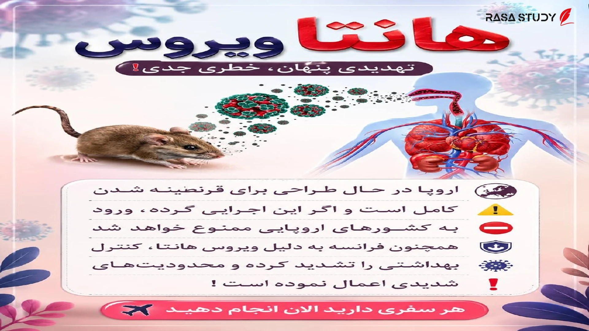 هانتا ویروس در اروپا؛ از شایعه قرنطینه سراسری تا واقعیت‌های علمی